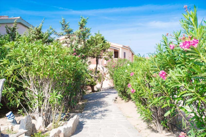 Aparthotel Baia delle Mimose Badesi Esterno foto
